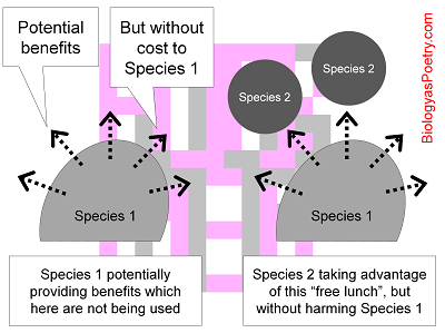 Commensalism