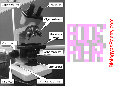 microscope diaphragm iris