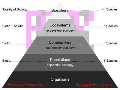 Ecology