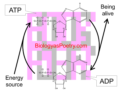 Energy coupling