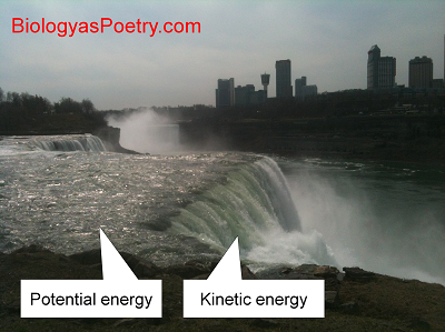 Kinetic energy