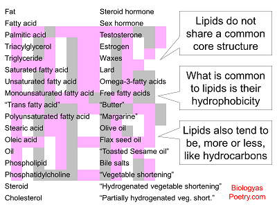 Examples of steroid based hormones