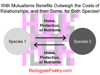 Mutualism