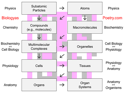 Organism