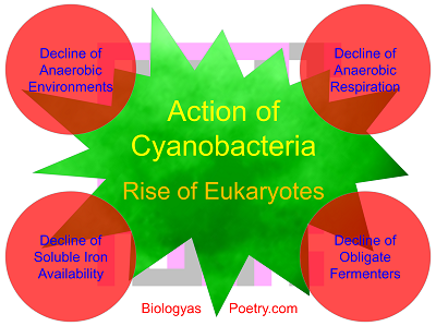 Oxygen revolution