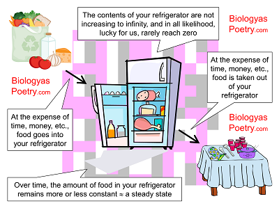 The contents of your refrigerator as a steady state