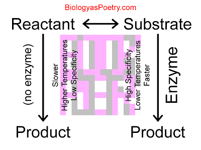 Substrate