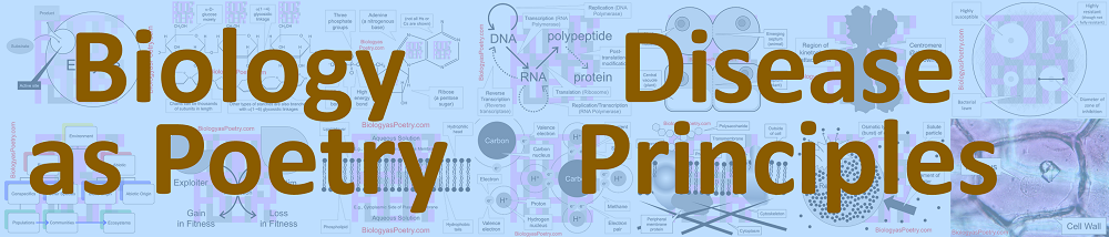 Disease - Biology As Poetry